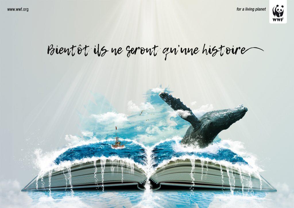 affiche hamza el ansali 1024x724