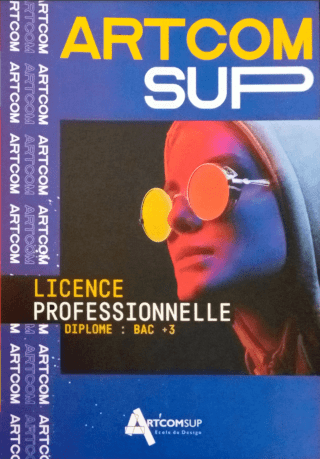Licence pro brochure cover