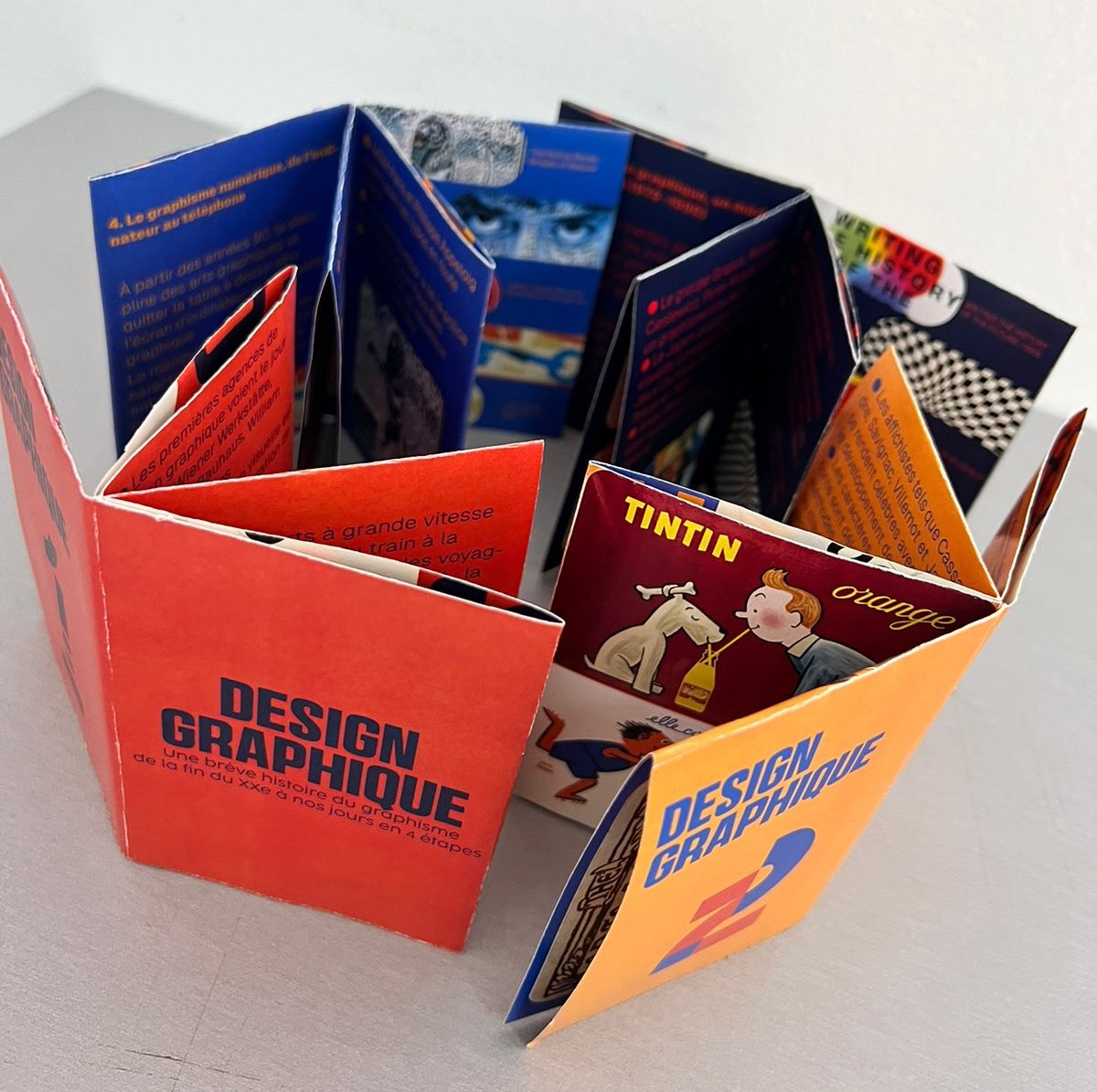 whatsapp image 2024 04 24 at 12.02.20 1